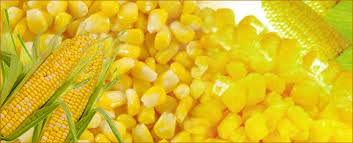 Pineapple Pulp Manufacturer Supplier Wholesale Exporter Importer Buyer Trader Retailer in pune Maharashtra India